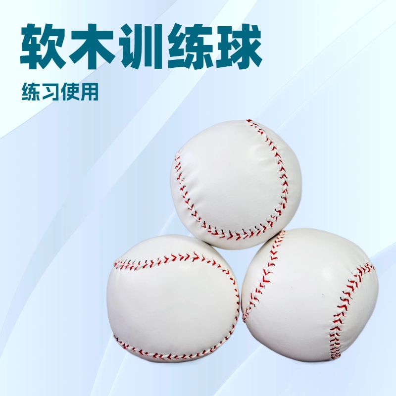 Elementary School Students 10inch 12inch Softball Baseball Soft and Hard Solid Kidsren's Baseball Game Training Baseball Balls