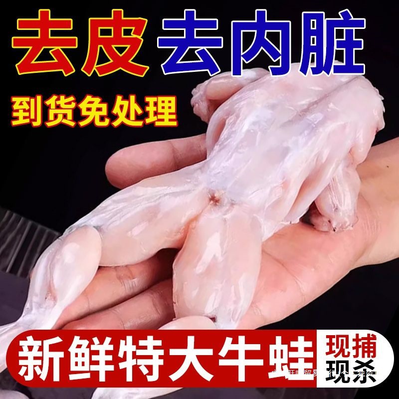 Sf Express Free Shipping] Fresh Bullfrog Extra Large Quick-Frozen Peeled Semi-Finished Hot Pot Ingredients Bullfrog Fresh and Freshly Killed for Commercial Use