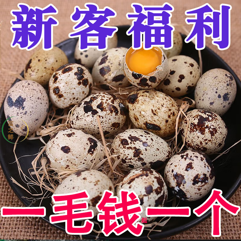 Свежие перепелиные яйца и многозерновое кормление, 100 питательных и деликатесных яиц птицы, собраны и отправлены сейчас