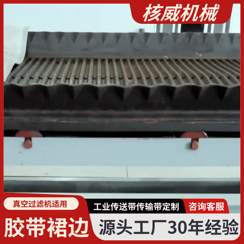 Vacuum Filter Hydrazine Chemical Material Tape Skirt Combination Conveyor Desulfurization Fine Anti-Spill Device