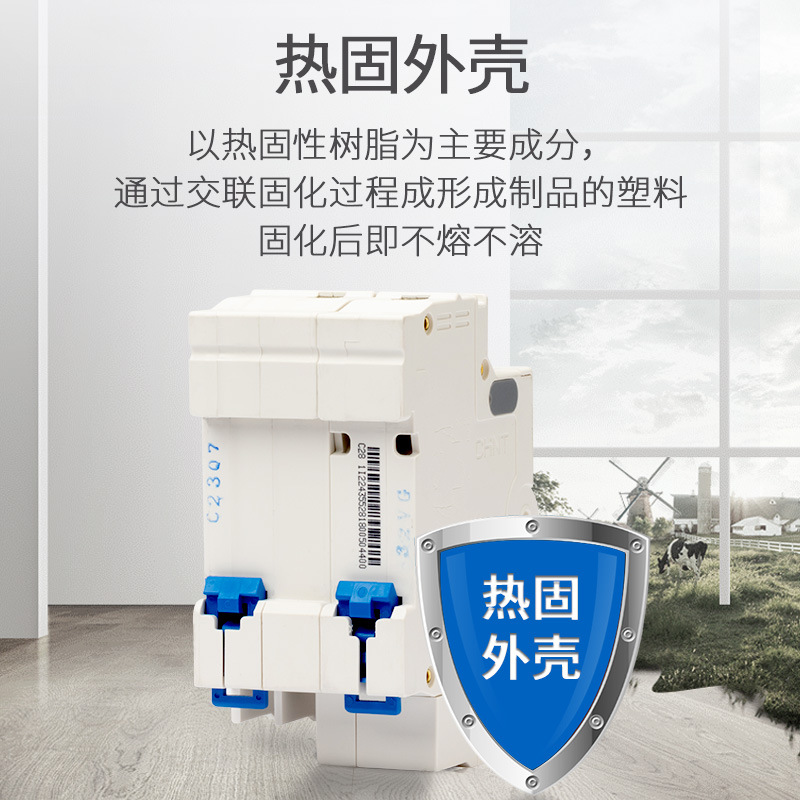 正泰漏电保护器63a空调总开 开关带漏电保护2P电闸家用空气断路器