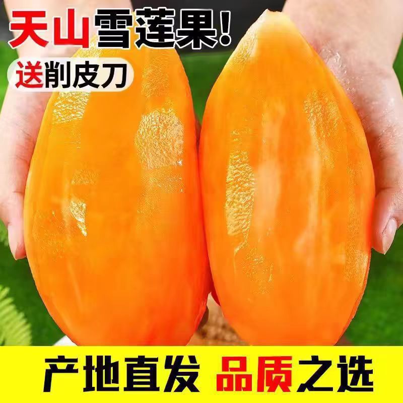 Yunnan Tianshan Snow Lotus Root, Freshly Dug Seasonal Fruit, Whole Box Wholesale 10-0.5kg Fresh Direct Delivery