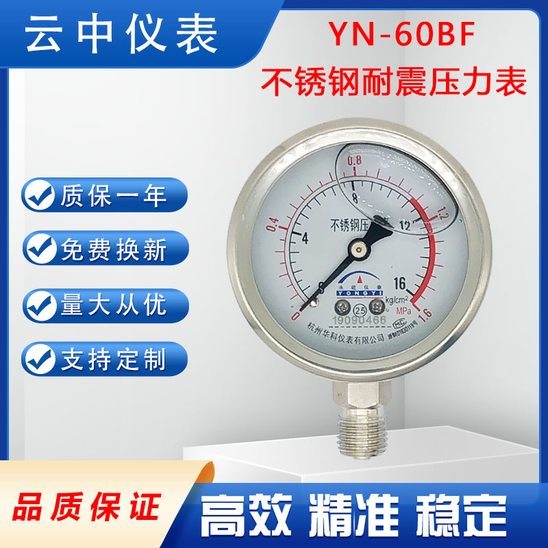 Customized Shock-Resistant Pressure Gauge Precision Pressure Gauge Electric Contact Pressure Gauge Stainless Steel Pressure Gauge Y100