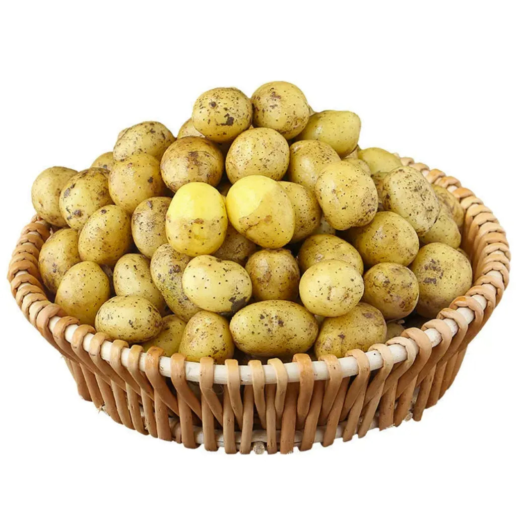 Fresh Enshi Small Potatoes Freshly Dug from Hubei, Fresh Yellow-Fleshed Potatoes, Seasonal Vegetables, Potatoes, and Potatoes for Dropshipping