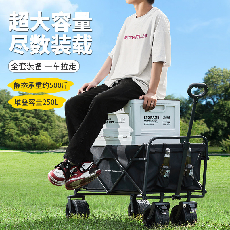 Outdoor Camping Car Daily Necessities Foldable Portable Picnic Camping Trolley Children's Reclining Travel Wholesale