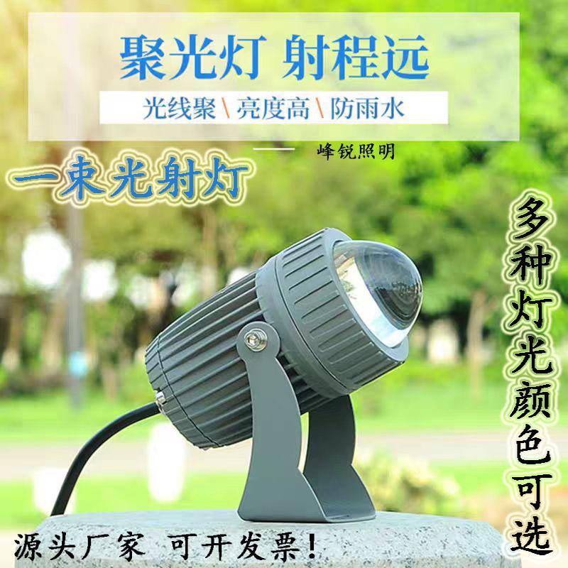 10W Single Beam Outdoor Spotlight, Remote Strong Light Waterproof Wall Washer Light, Roman Column Exterior Wall Projection Light