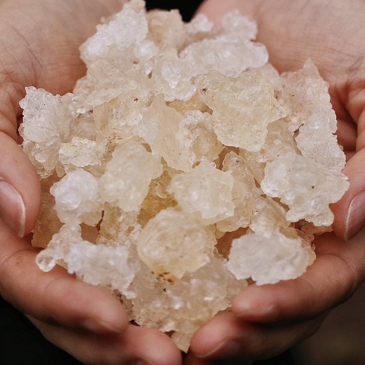 Yunnan brushed snow swallow plant bird's nest origin snow swallow 500g canned live with the same generation