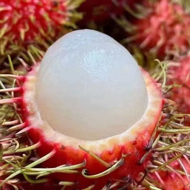 Freshly Picked and Shipped Hainan Baoting No. 7 Rambutan, Fresh Tropical Fruit for Pregnant Women, Gift Box with Free Shipping