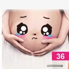 Pregnant Women's Belly Stickers Pregnant Belly Stickers Pregnant Belly Stickers Photo Studio Photo Props Pregnant Women's Belly Stickers