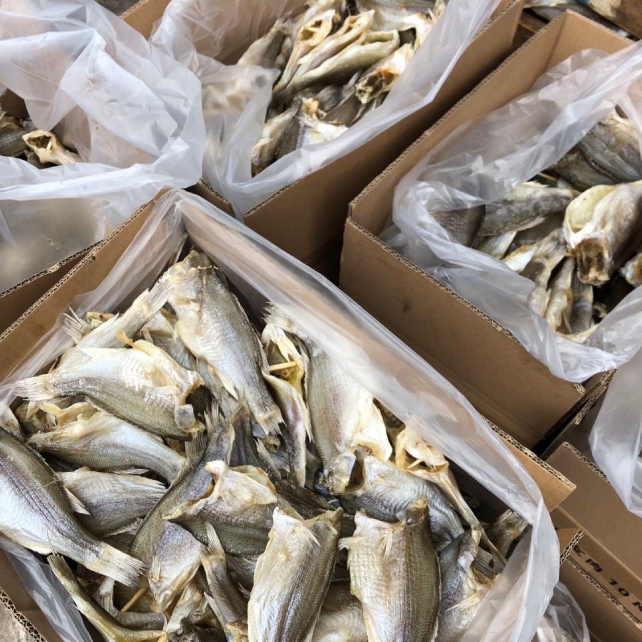 Dried Bass, Exhibition Stall E-Commerce, Freshwater Dried Bass, California Dried Bass, Lu Zai, Lu Meat, Large Bass