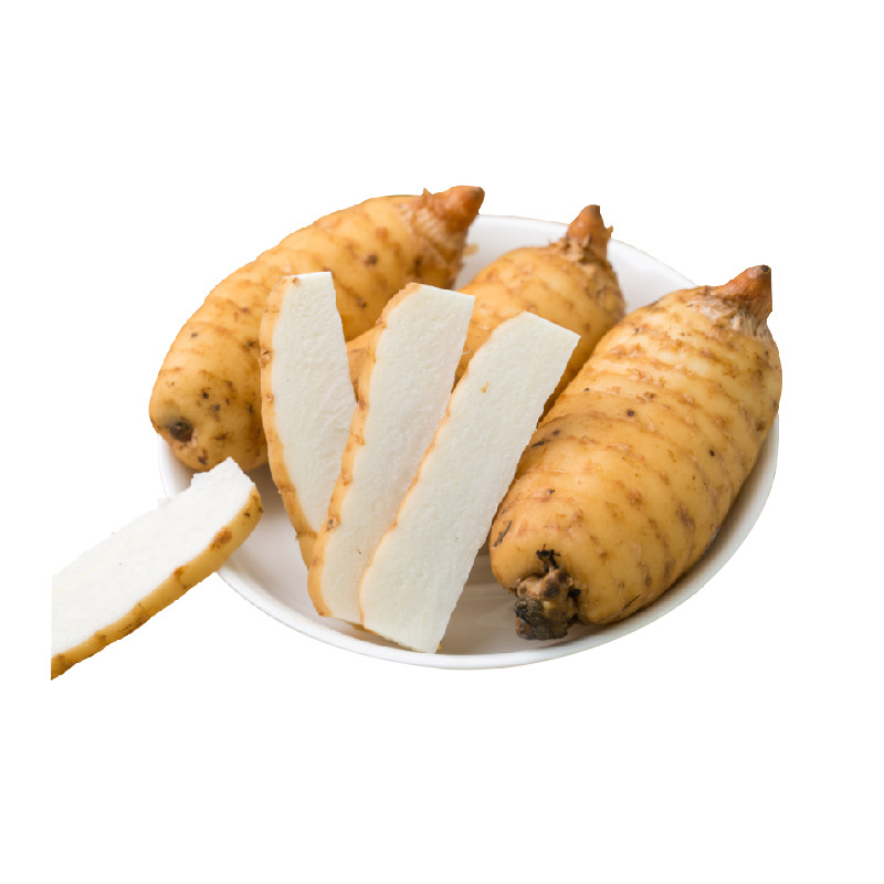 Fresh Tianma Freshly Dug in the Wild, Imitating Wild Tianma from Guizhou and Yunnan, Zhongyang Tianma, Street Stalls and Exhibitions