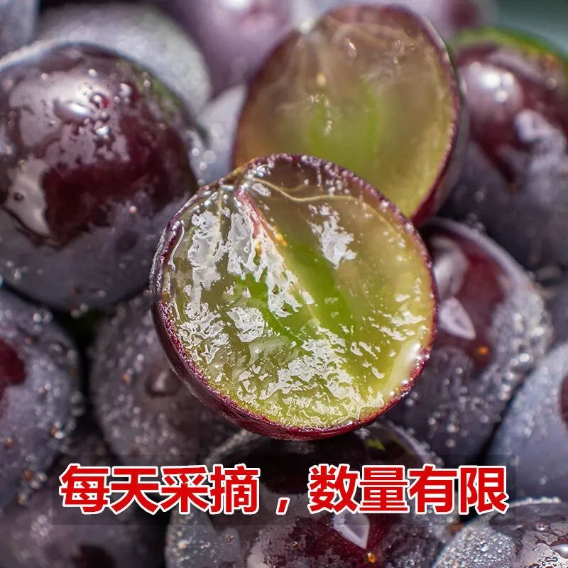 [Sf Cold Chain Whole String Delivery] Northeast Giant Peak Grapes Freshly Picked Seasonal Liaofeng Sweet Grapes Free Shipping