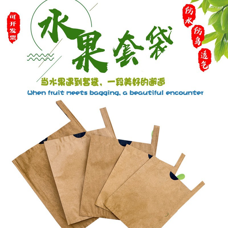 Loquat bag special bag loquat bag Mango bag factory fruit bag fruit bag insect-proof bird waterproof Sun Protection