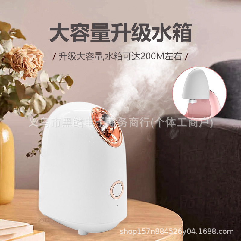 Special Clearance Facial Steamer Beauty Salon Special Household Hydrating Spray Machine Opens Pores Moisturizing Hot Spray