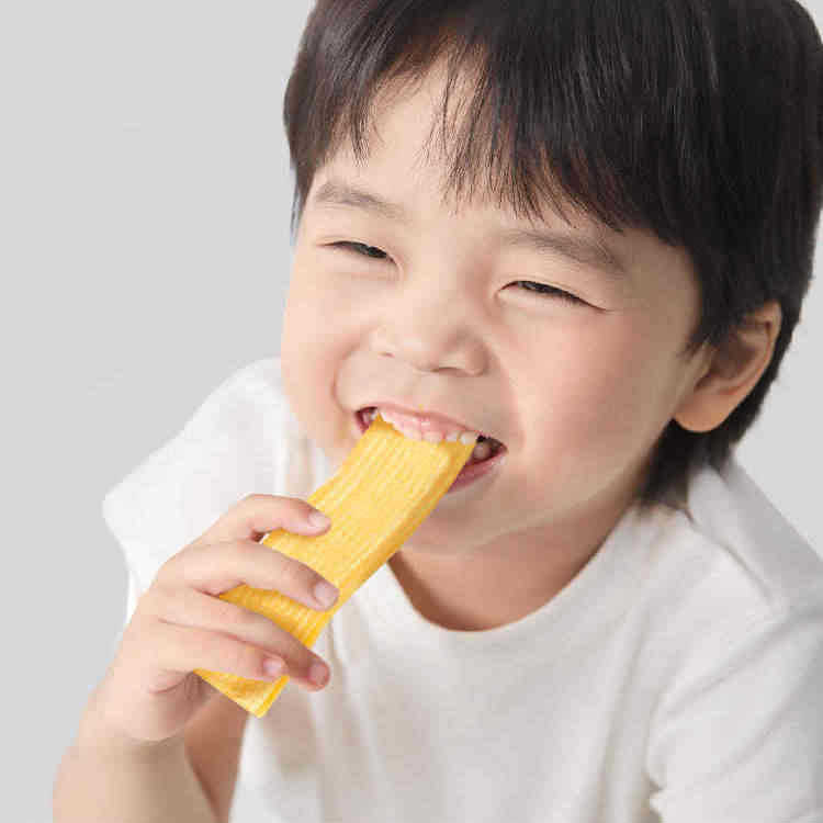 Fujibaby Autumn Pear Kumquat Fruit Bars Hawthorn Apple Fruit Bars Blueberry Carrot Fruit Bars Baby Snacks