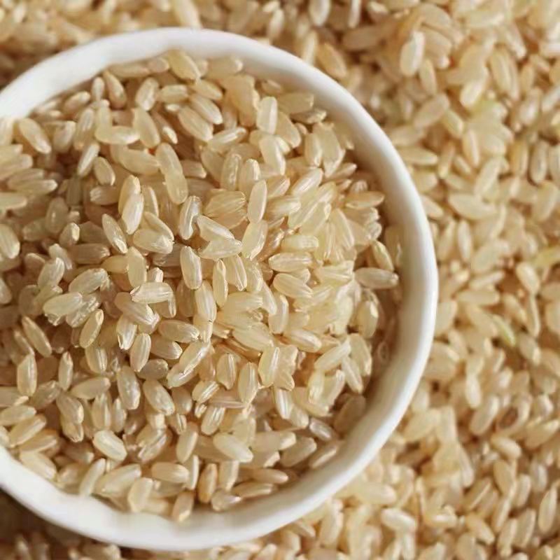 Bulk Wholesale Brown Rice 500g New Rice Bulk Brown Rice Farm-Produced Whole Grains