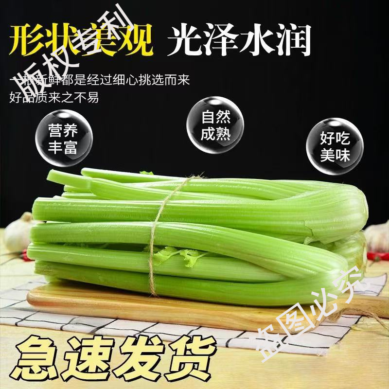 Sf Express Free Shipping Fresh Fruits and Celery, Freshly Dug and Shipped, Large Celery Can Be Juiced and Eaten Raw or Cold