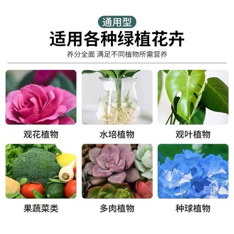 Manufacturer Wholesale Plant Nutrient Solution Universal Dilution-Free Fertilizer Soil Culture Small Bag Pothos Money Tree Rich Bamboo