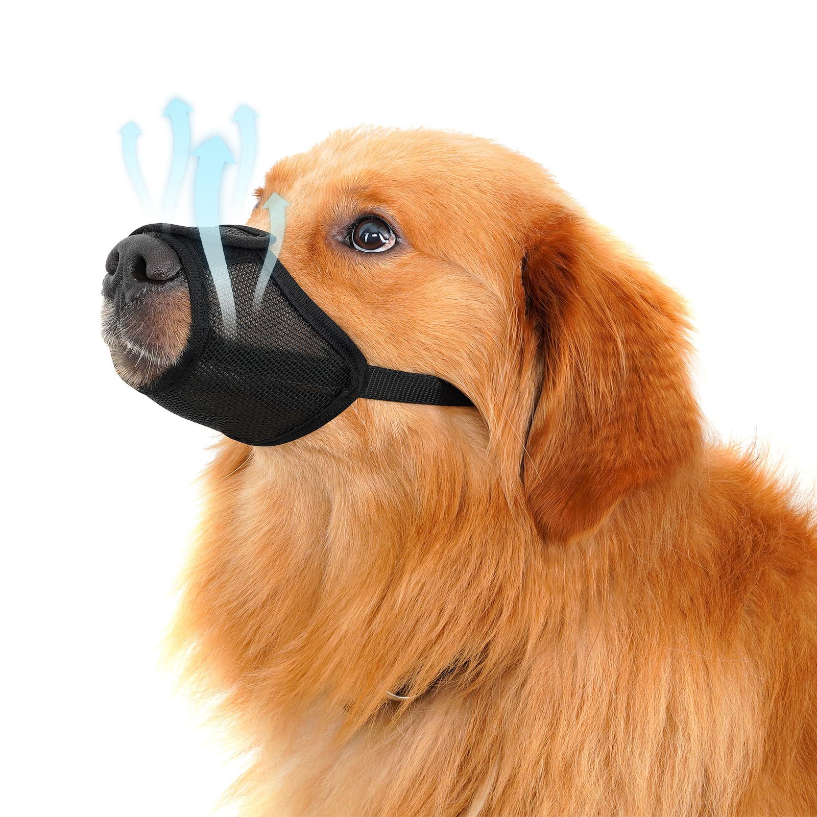 Dog Muzzle Anti-Bite Mask to Prevent Eating Indiscriminately, Suitable for Small and Medium-Sized Dogs, Specifically for Corgis, Pet Anti-Barking Mouth Cover