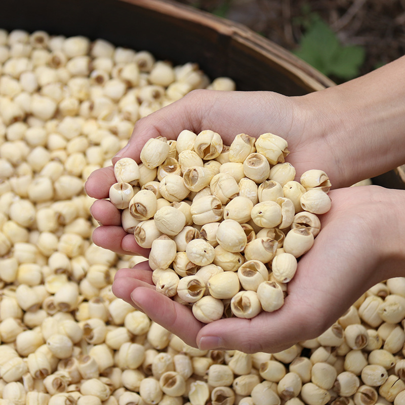 Jianning Lotus Seeds Commercial Cored Dry Goods Wholesale White Lotus Seeds Bulk Artificial Fresh Cored Powder Glutinous New Goods 250g