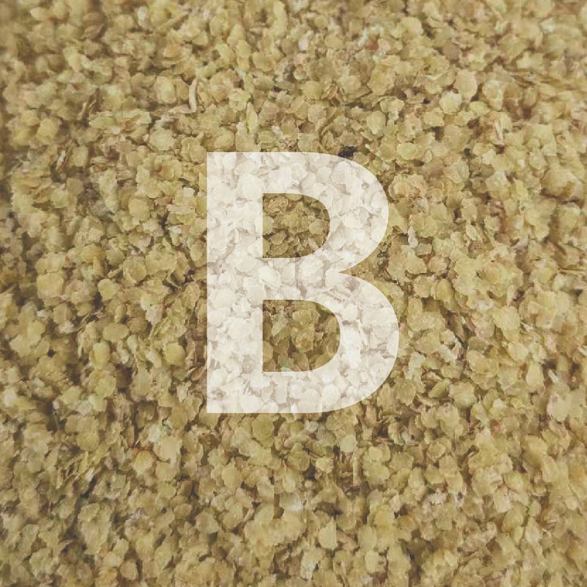 Cooked Wheat Germ Raw Materials Wholesale Selenium-Rich Wheat Germ Low-Temperature Baked Cooked Wheat Germ Factory Direct Sales