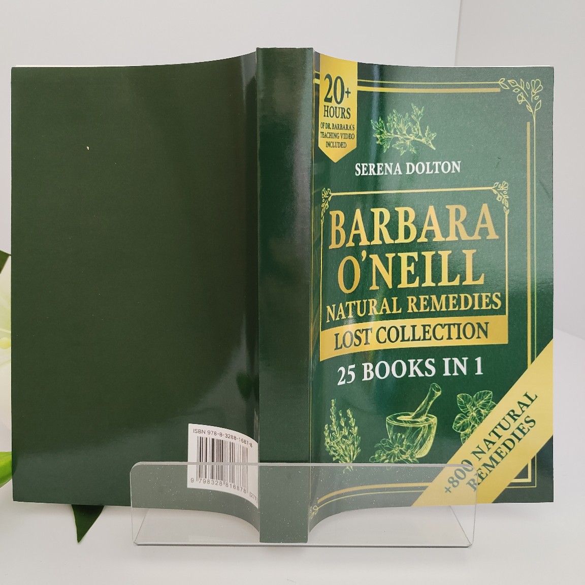 Cross-Border Chinese Herbal Medicine Treatment and Maintenance Collection English Version the Lost Book of Herbal Remedi