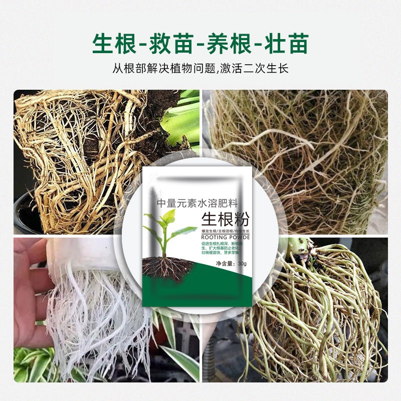25g Rooting Powder Universal Seedling Strengthening Agent Succulent Pothos Flower Cutting Powder Fast and Powerful Rooting Powder
