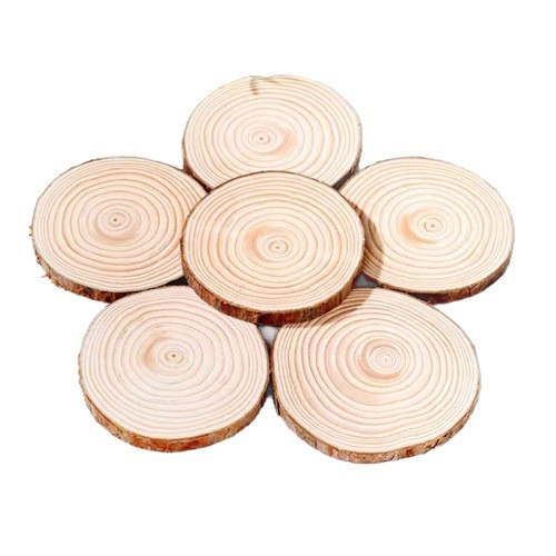 Round Wood Slices DIY Wood Carving Micro Landscape Props Painting Annual Ring Slices Wood Slices Coasters