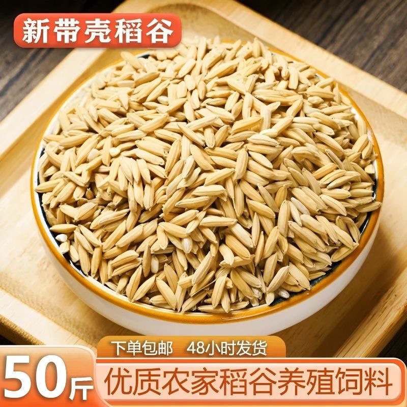 Natural Chicken Feed from Rice Farms 25kg Chicks Ruddies Birds Parrots Feeding Millet Rice Wholesale