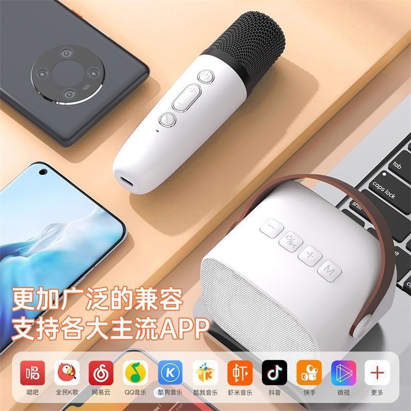 Mini Microphone Microphone Audio Integrated Home Karaoke Microphone Ktv Home Mobile Phone Wireless Bluetooth Speaker Factory
