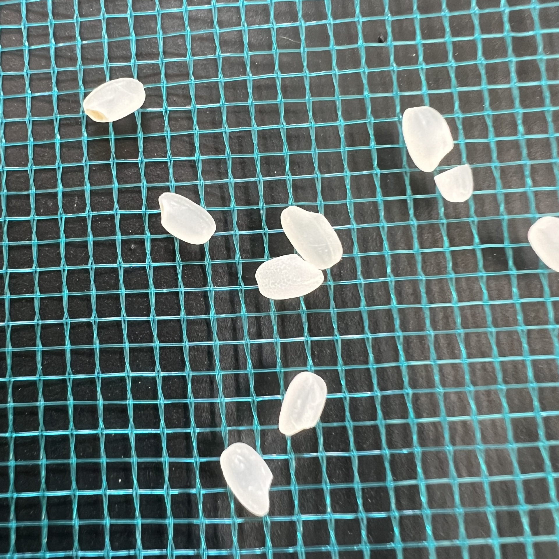 45X60 crayfish mesh bag fish gauze aquatic products shellfish turtle nylon bag breathable good with rope