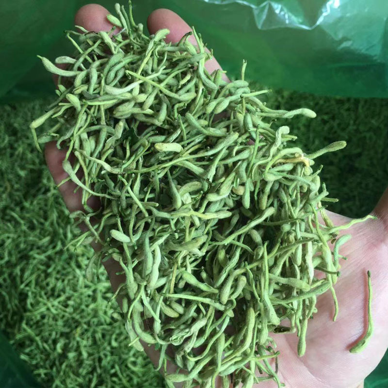 Honeysuckle, Henan Fengqiu Goods, Large Quantity Can Be Negotiated. You Can Contact Customer Service to See Detailed Videos. Wholesale of Chinese Medicinal Materials