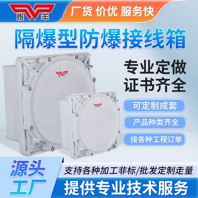 Explosion-Proof Junction Box Distribution Box Lighting Power Control Cabinet Button Switch Box Maintenance Terminal Instrument Box Complete Set
