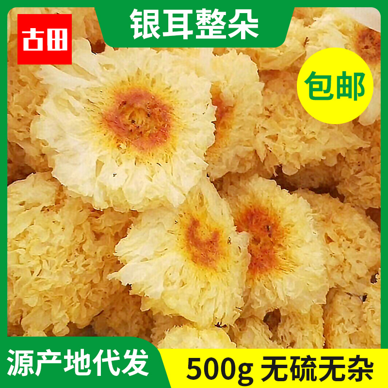 Троммела целиком, 500г, оптовая продажа, белая грибная уха