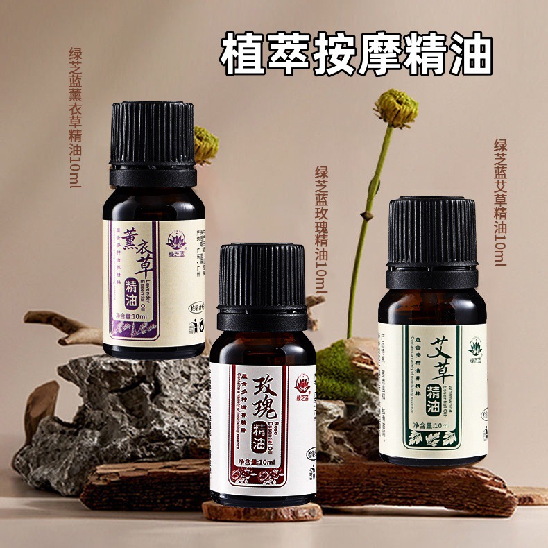 Mugwort Massage Essential Oil Rose Ginger Beauty Salon Spa Body Soothing Scraping Massage Massage Essential Oil Factory Wholesale