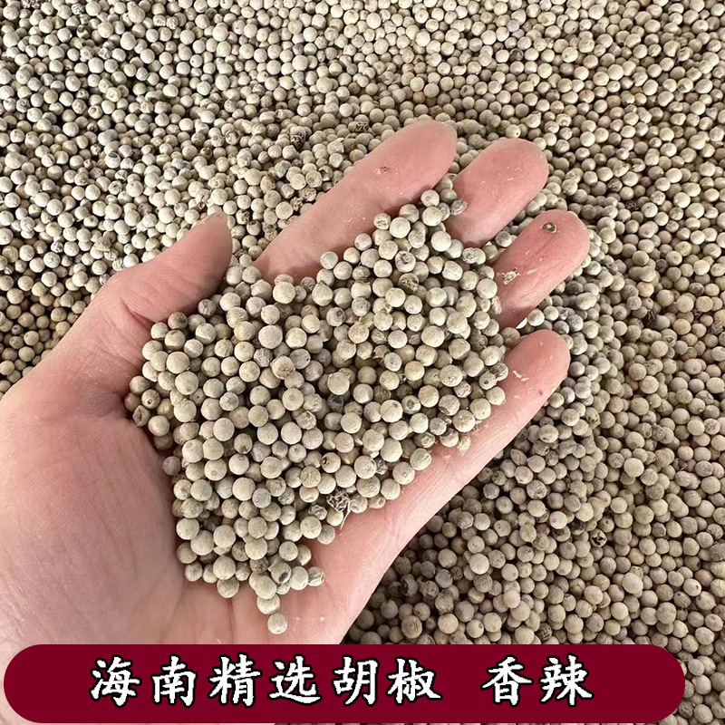 Hainan White Pepper Bulk Dry Goods Spot Wholesale White Pepper Crushed Pepper Noodles Seasoning Aniseed Spices 
 
