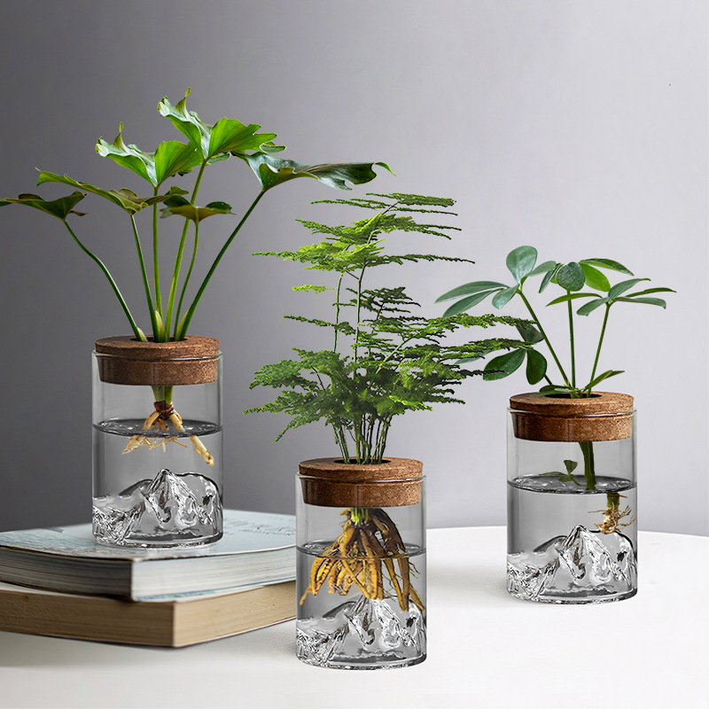 Гидропонное растение маленький горшок офисный настольный стеклянный бутылка зеленые растения украшения горшок с видом на горы маленькая ваза микро ландшафт