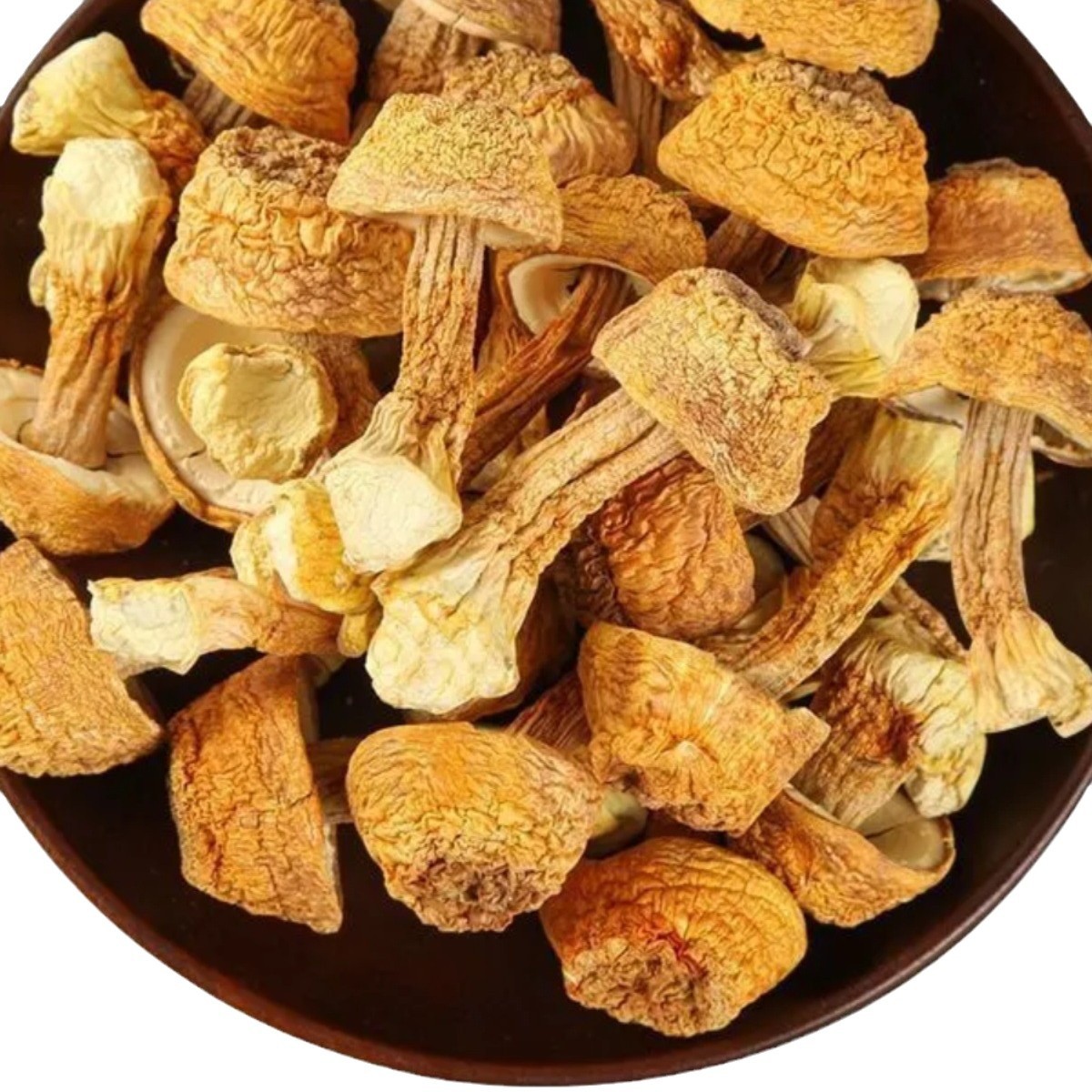 Agaricus blazei dry goods fresh Agaricus blazei non-Yunnan specialty matsutake soup ingredients household seasonal new