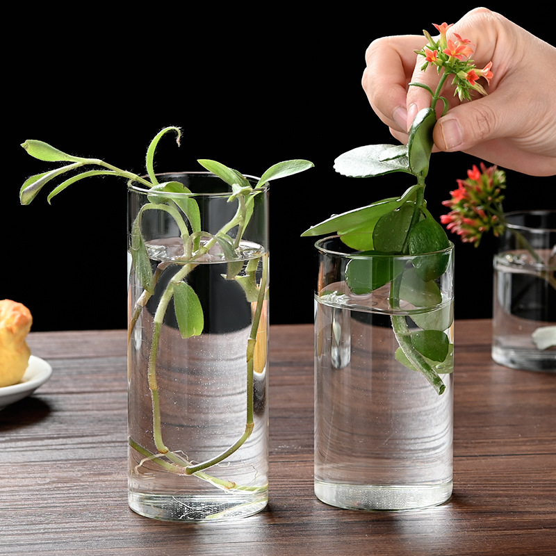 Ecological Bottle High Borosilicate Glass Vase Flower Arrangement Hydroponic Vessel Micro Landscape Flower Pot Aquarium Betta Fish Tank Ornament Candle Holder