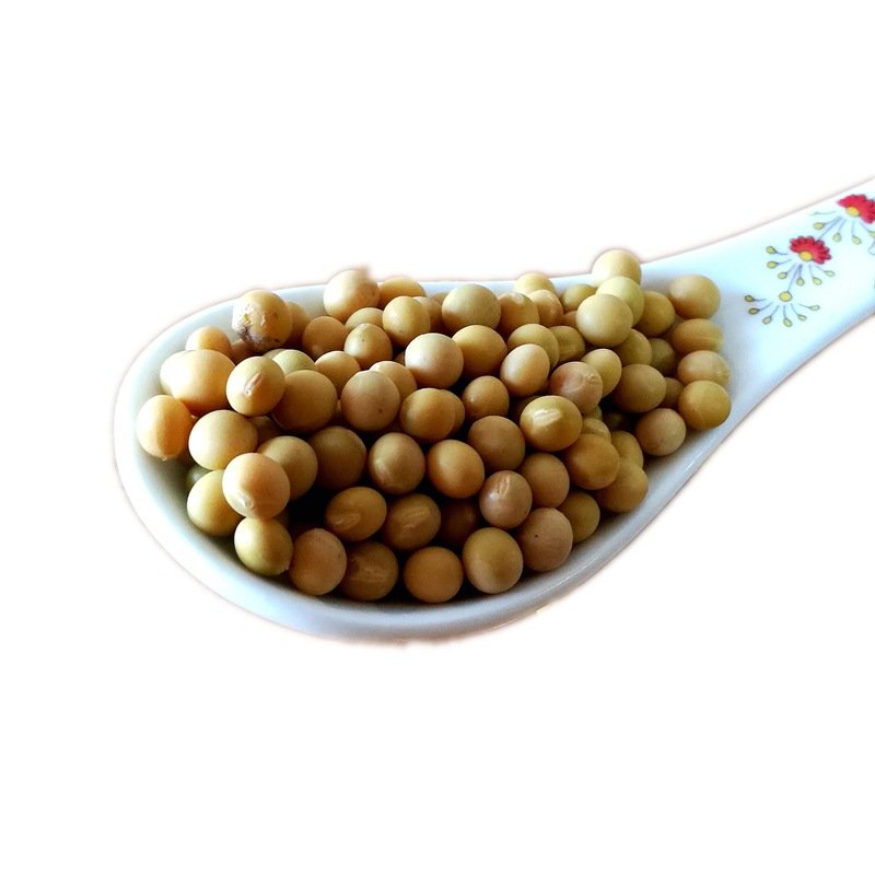 New bean sprouts, soybean raw bean sprouts, soybean natto 5kg, farmhouse self-grown 690 small grains