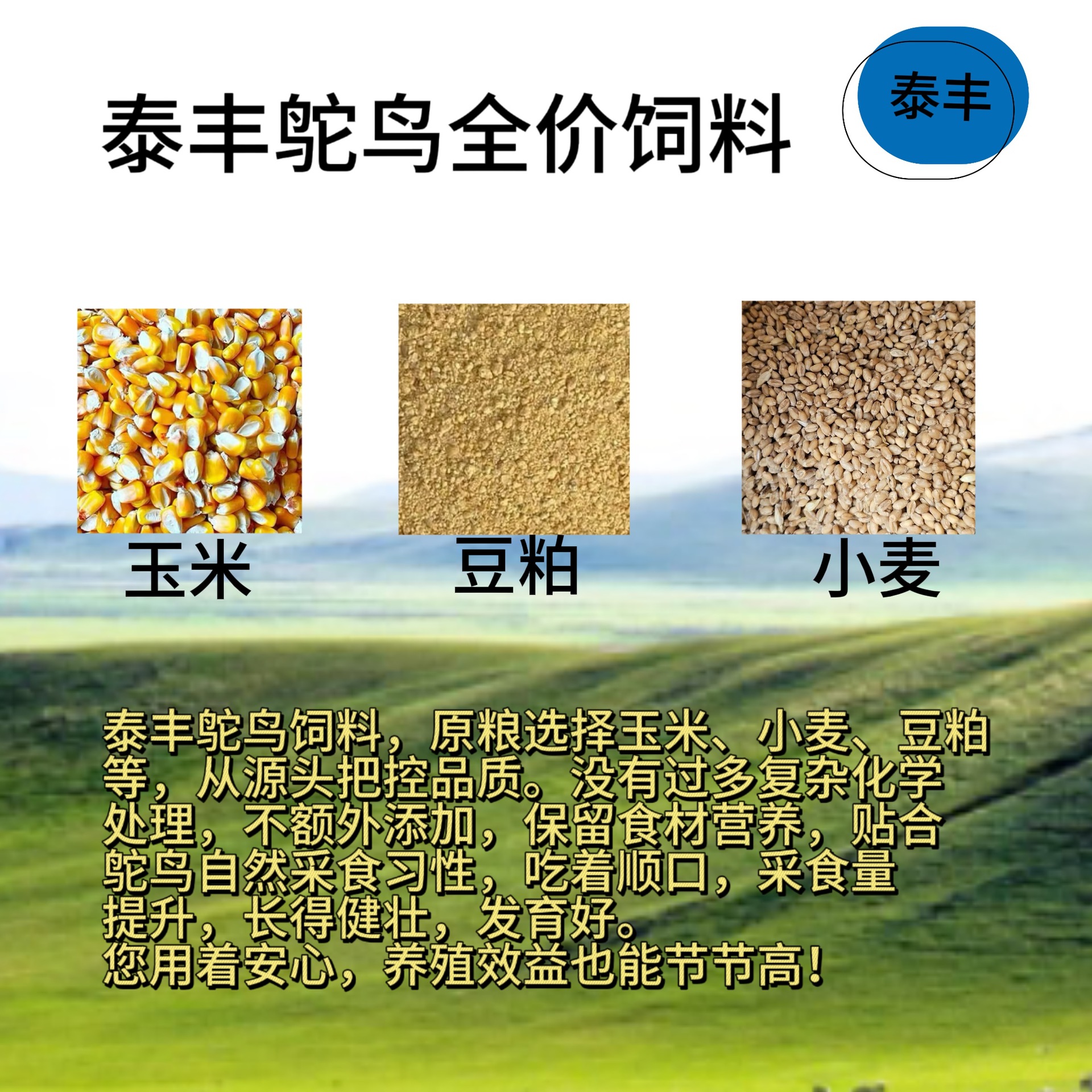 Ostrich Feed for the Growth Period of 7-14 Months Is Nutritious and Promotes Rapid Growth. Directly Shipped from the Manufacturer with Free Shipping. Pellet Feed for Rapid Growth. Taifeng Speed Growth