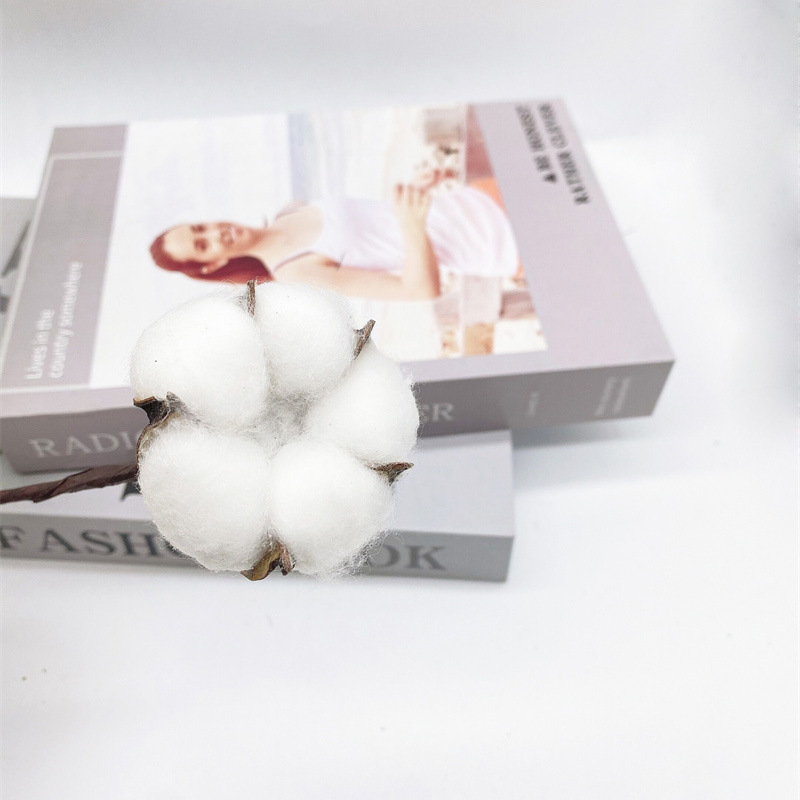 Factory wholesale simulation single head kapok head natural dried flower branches cotton wreath Christmas supplies eternal flowers