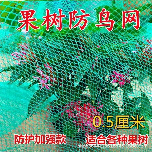 Factory Direct Sales Polyethylene Knotless Net Lobster Breeding Net Fishing Tool Mesh 0.5-3.5cm
