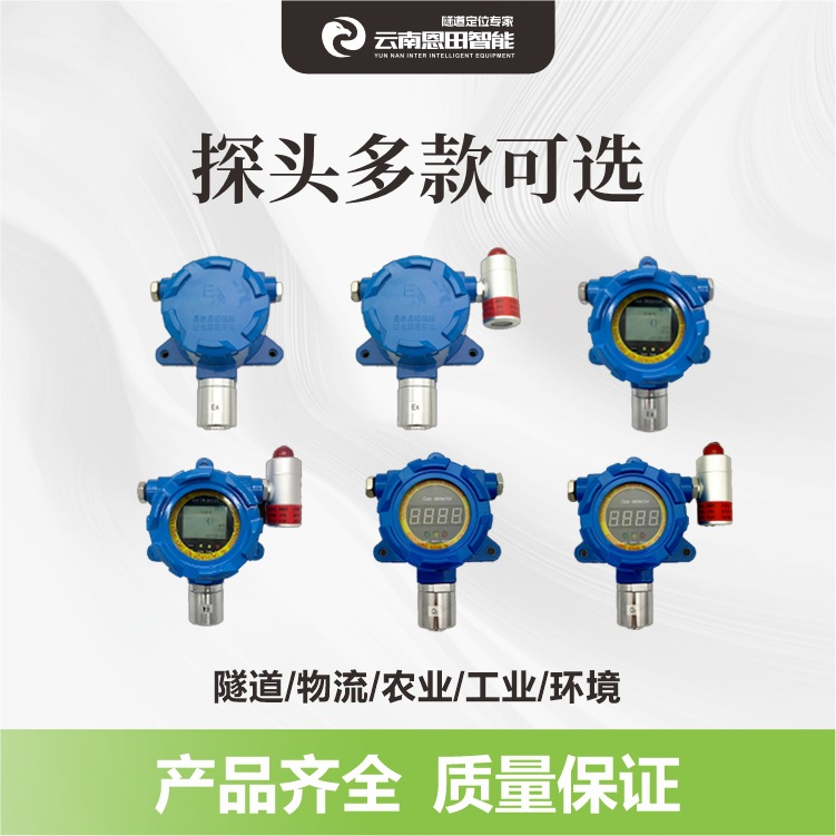 Instrument Wall-Mounted Fixed Lcd Display Hydrogen Sulfide Gas Transmitter Manufacturer Gas Tunnel Special Probe