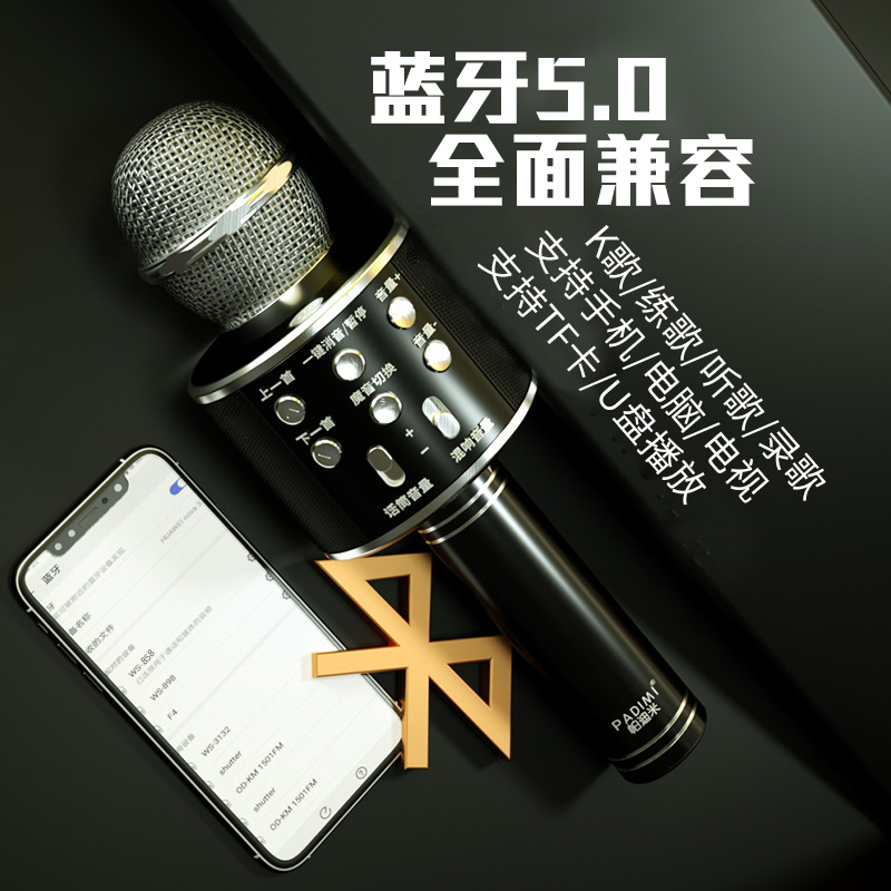 WS858 Original Factory high quality Wireless KGE Bao Microphone Plug TF Card U Disk Radio Microphone Speaker Integration