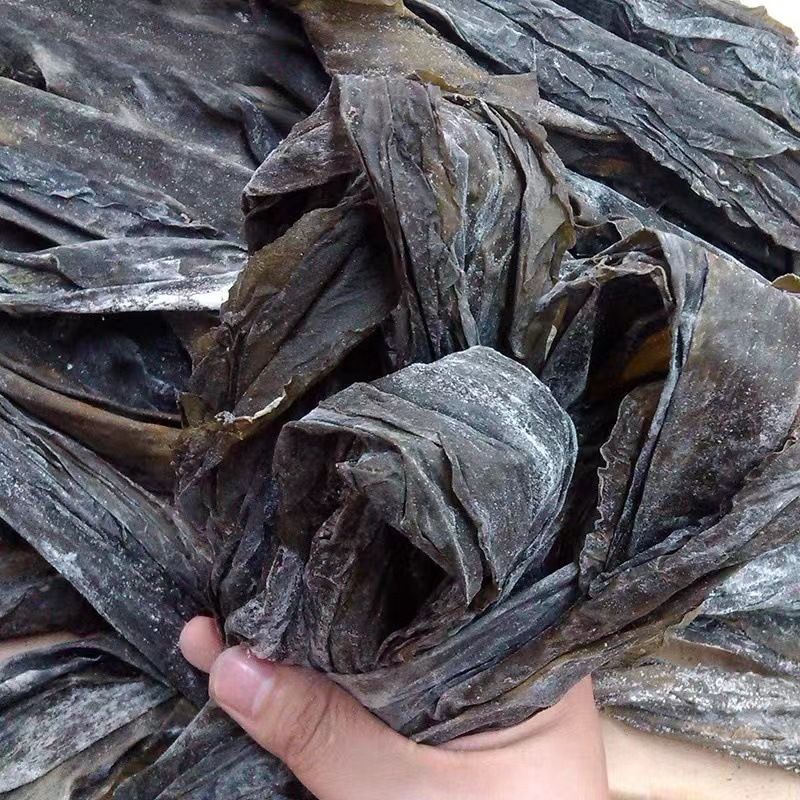 Dried Kelp from Fujian, Bulk Supply from Manufacturers, Wholesale from Shandong - New Products for Street Vendors and Supermarkets