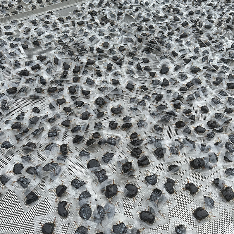 Ready-To-Eat Authentic Jiuhuashan Nine Steamed Nine Sunshine Polygonatum Fruit Open Bag Ready-To-Eat Polygonatum Soup Tea Healthy Medicinal Materials