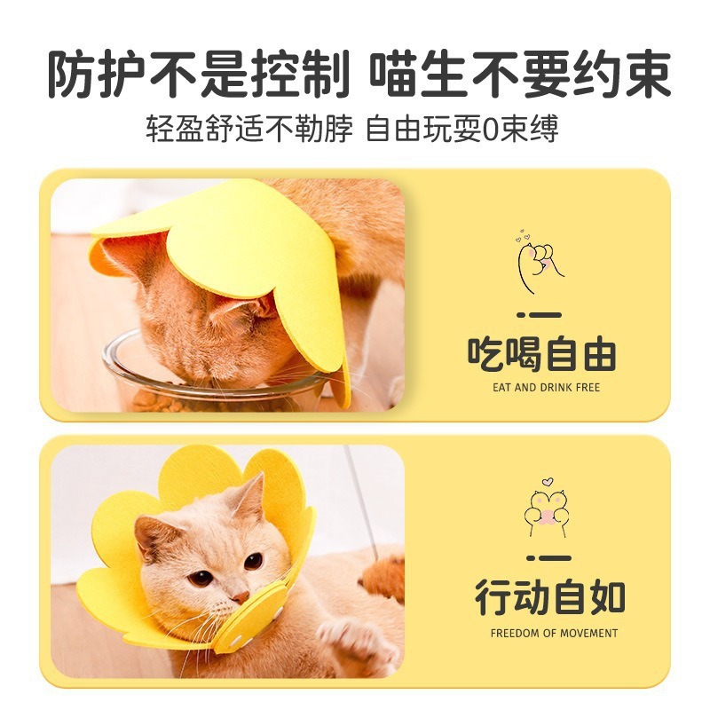 Elizabeth Headgear Cat Sterilization Collar Anti-Licking Collar Collar British Short Cat and Dog Pet Supplies Artifact