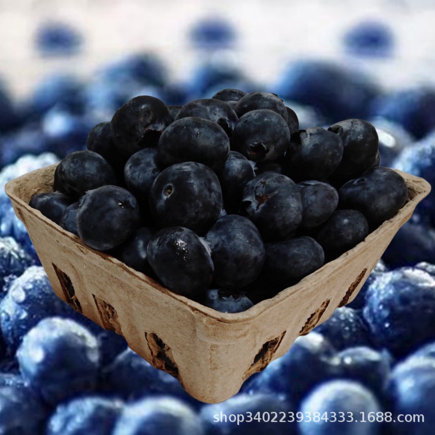 Biodegradable Fresh Food Tray Fruit Packaging Box Paper Plastic Packaging Fruit and Vegetable Box Blueberry Tray Pulp Fruit Tray