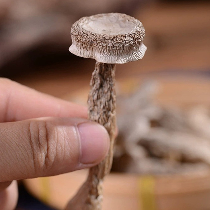 Dried Deer Antler Mushrooms, Crispy Mushrooms for Soup, Stir-Fried Meat, Hot Pot, Carefully Selected, 0.5kg Packs, Rich in Nutrients and Fragrant